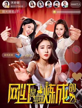 《网红是怎样炼成的》海报