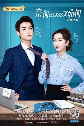 《奈何BOSS又如何（越南语版）》海报