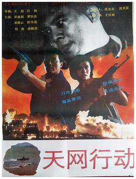 《天网行动》海报