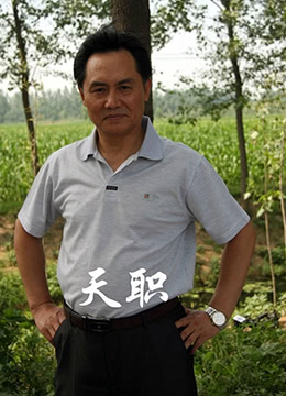《天职》海报
