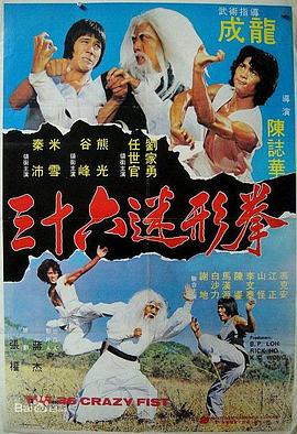 《三十六迷形拳》海报
