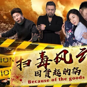 《扫毒风云之因货起的祸》海报