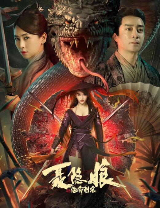 《聂隐娘之绝命刺杀》海报