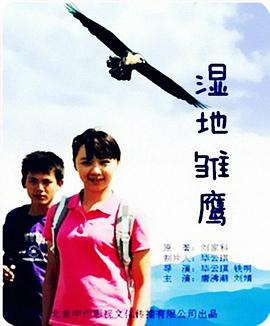 《湿地雏鹰》海报