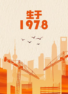 《生于1978》海报