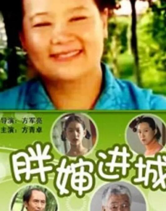 《胖婶进城》海报