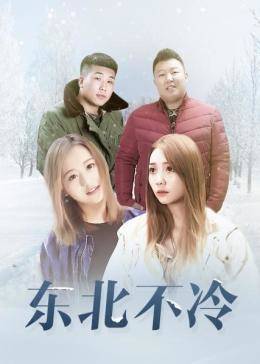 《东北不冷》海报