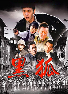 《黑狐》海报