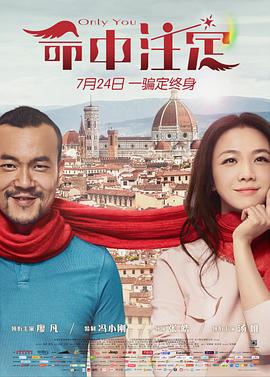 《命中注定》海报