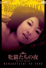《性感野猫之夜》海报