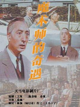 《魔术师的奇遇》海报
