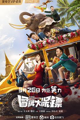 《冒牌大保镖》海报