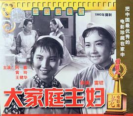 《大家庭主妇》海报