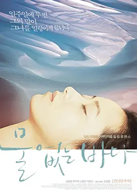 《沒有水的大海》海报