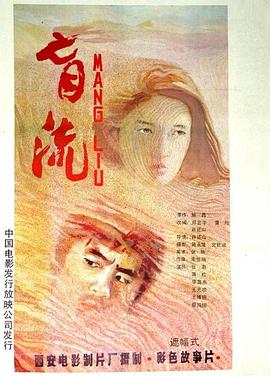 《盲流》海报