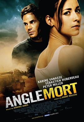 《盲点 Angle mort》海报