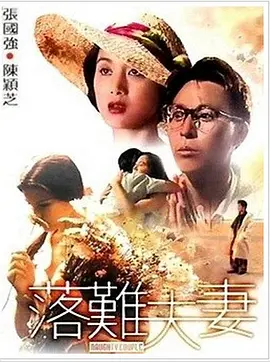 《落难夫妻》海报