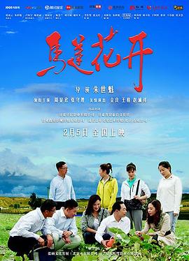 《马莲花开》海报