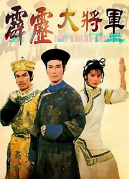《霹雳大将军》海报