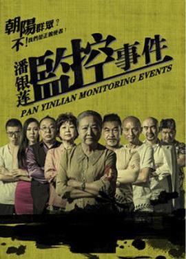 《潘银莲监控事件》海报