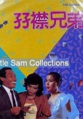 《双襟兄弟》海报