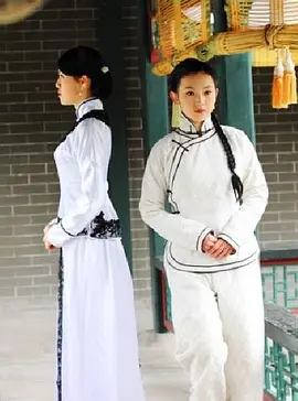 《宅门里的女人们》海报