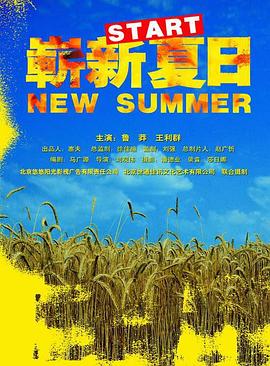 《崭新夏日》海报