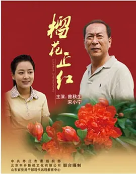 《榴花正红》海报