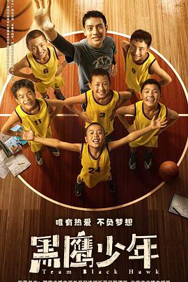 《黑鹰少年》海报