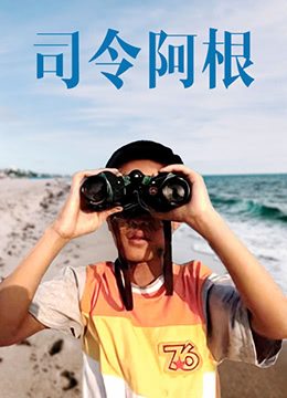 《司令阿根》海报