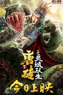 《唐砖下之灵域双生》海报