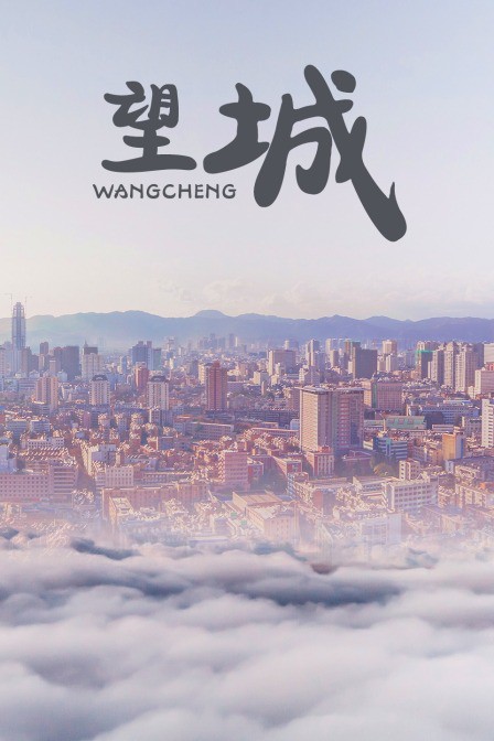 《望城》海报