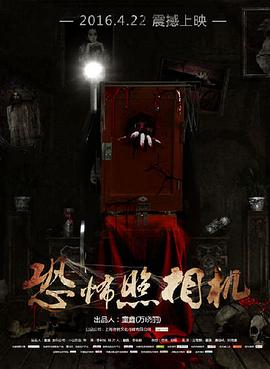 《恐怖照相机》海报