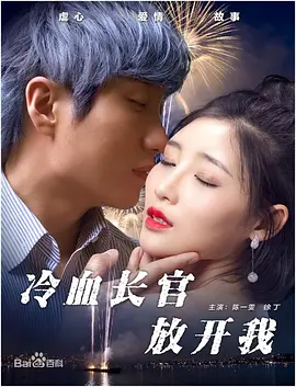 《冷血长官放开我》海报