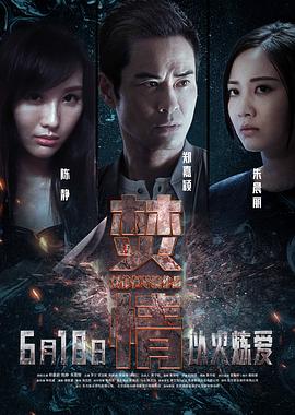 《焚情》海报