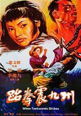 《跆拳震九州》海报