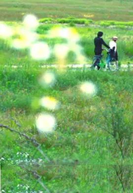 《牵牛花》海报