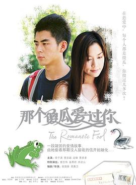 《那个傻瓜爱过你》海报