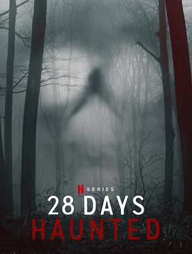 《闹鬼实境28天》海报