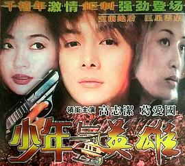 《少年与英雄》海报