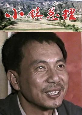 《小镇总理》海报