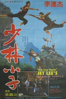《少林小子》海报