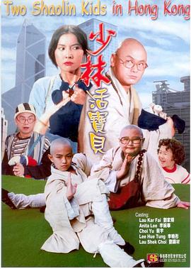 《少林活宝贝》海报