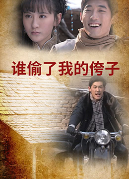 《谁偷了我的侉子》海报