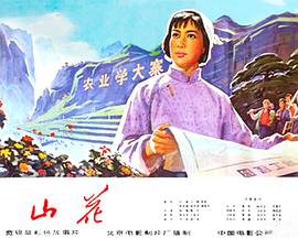 《山花》海报