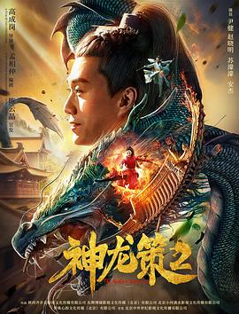 《神龙策2》海报