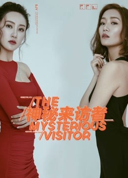 《神秘来访者》海报