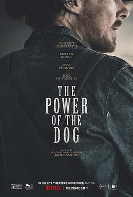 《犬之力》海报