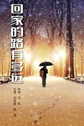 《回家的路有多远》海报