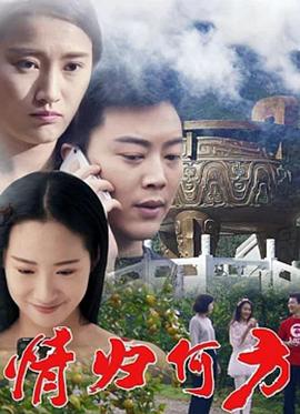 《情归何方》海报